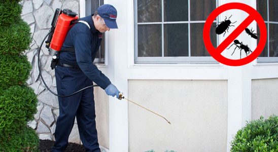 Bucak Kemirgen İlaçlama böcek ilaçlama ve haşere kontrolü — ilaclama-tr.com